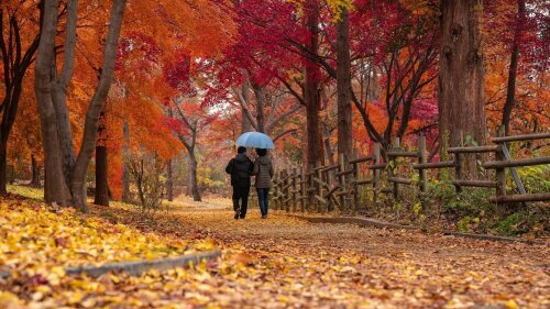 Paar, das im Herbst spazieren geht